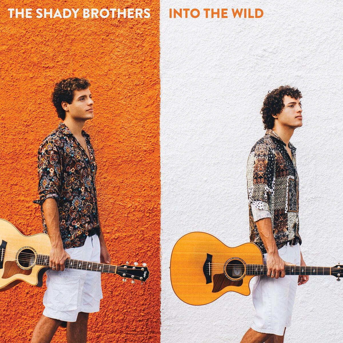 Album cover of Into the Wild