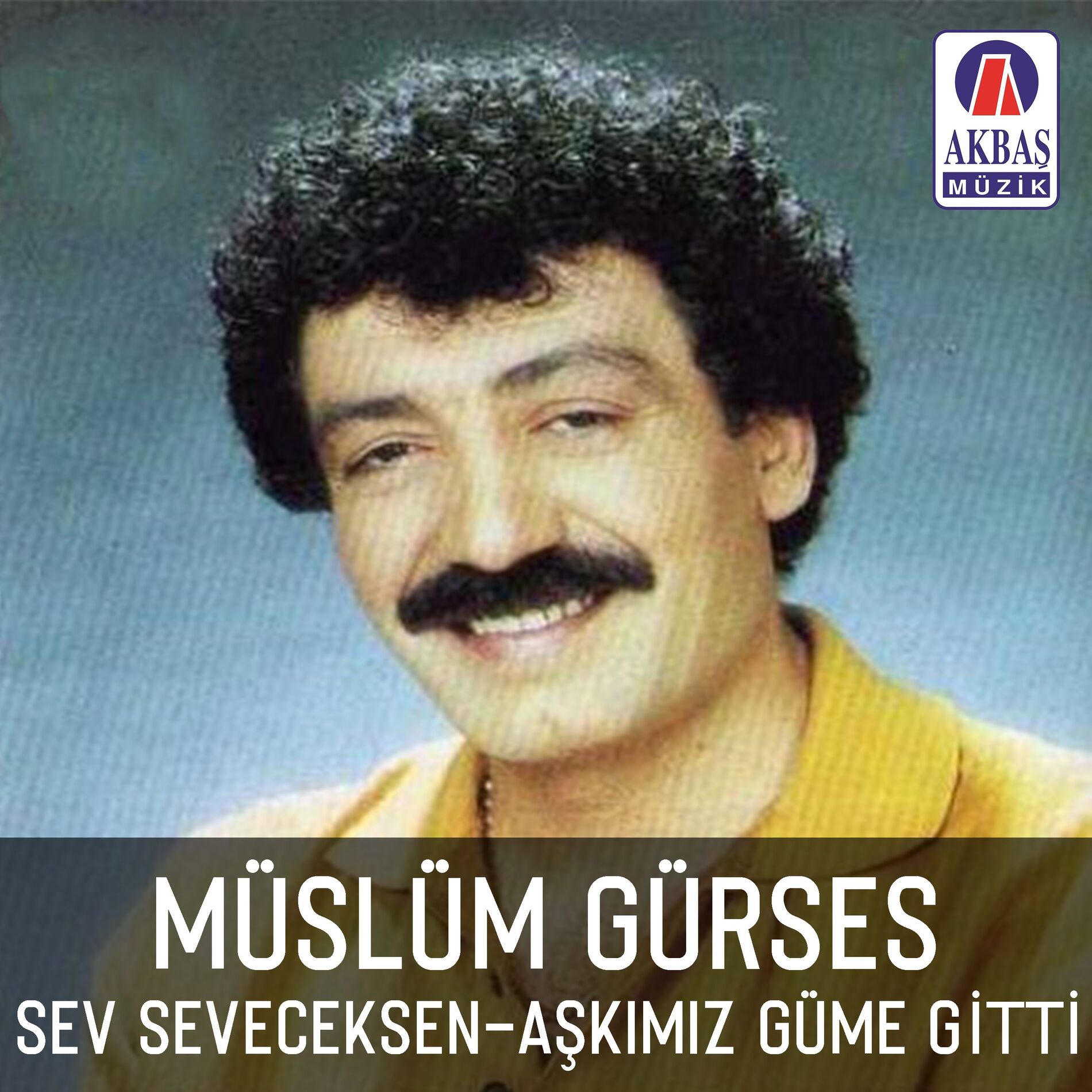 Album cover of Sev Seveceksen - Aşkımız Güme Gitti