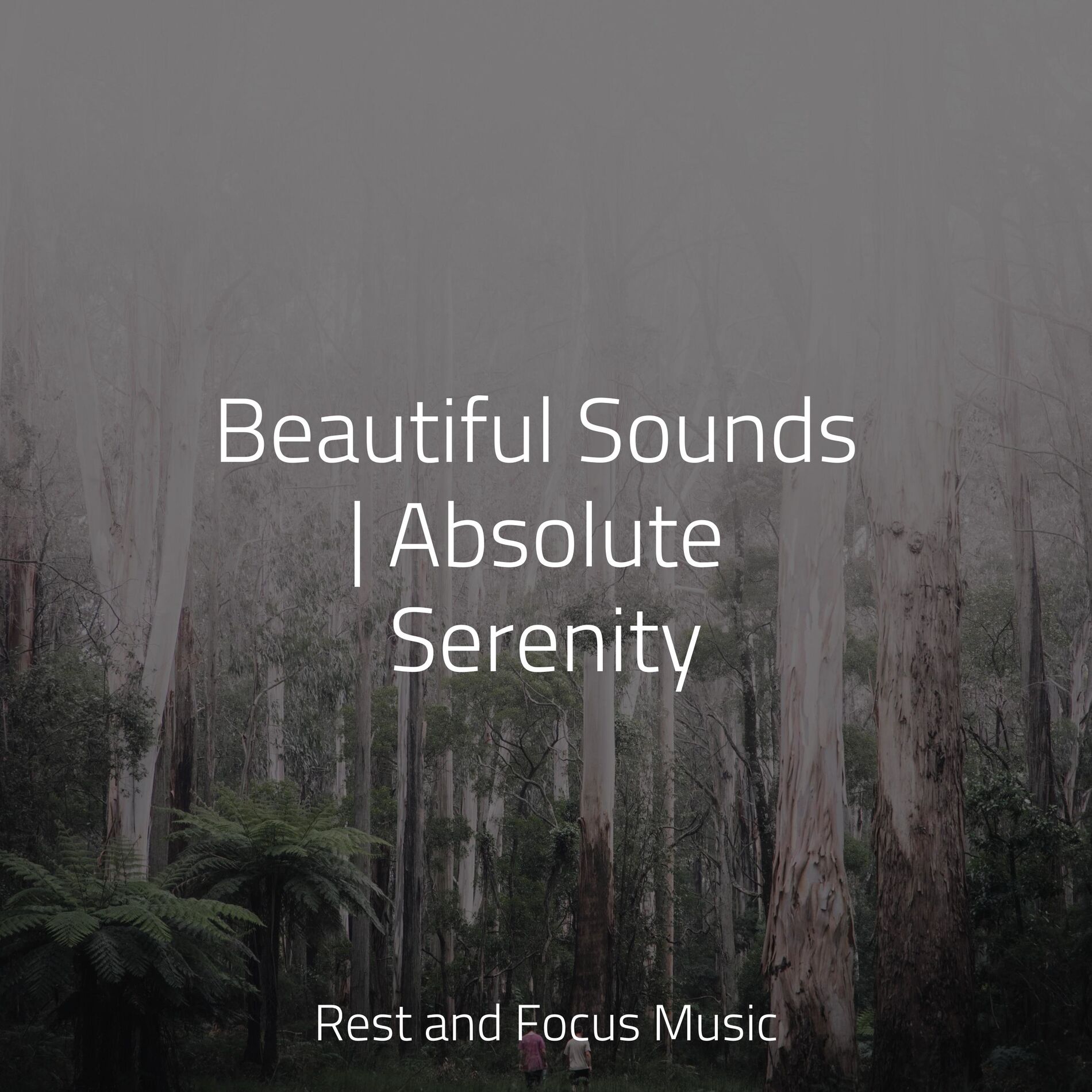 Album cover of Beautiful Sounds | Absolute Serenity