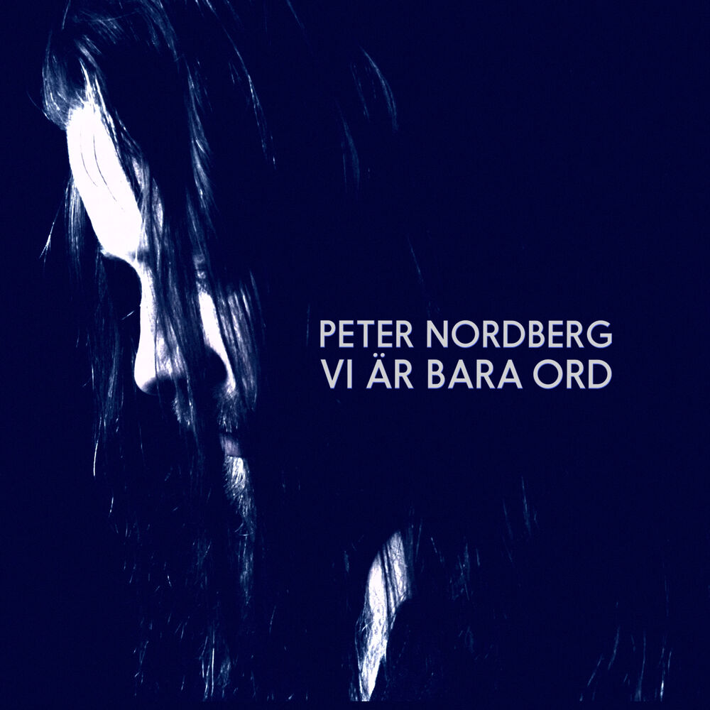 Picture of Vi är bara ord