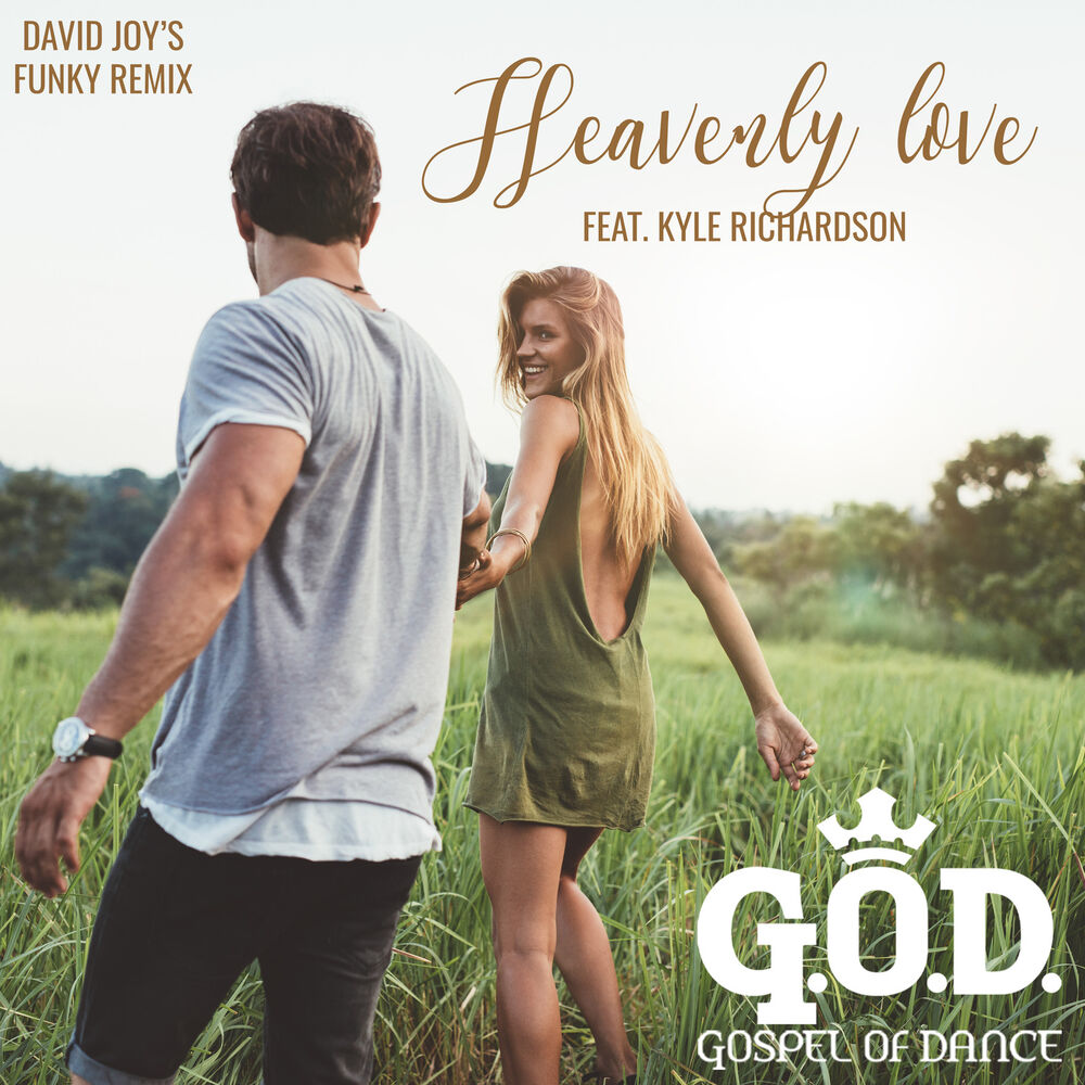 Picture of Heavenly Love (David Joy's Funky Remix)