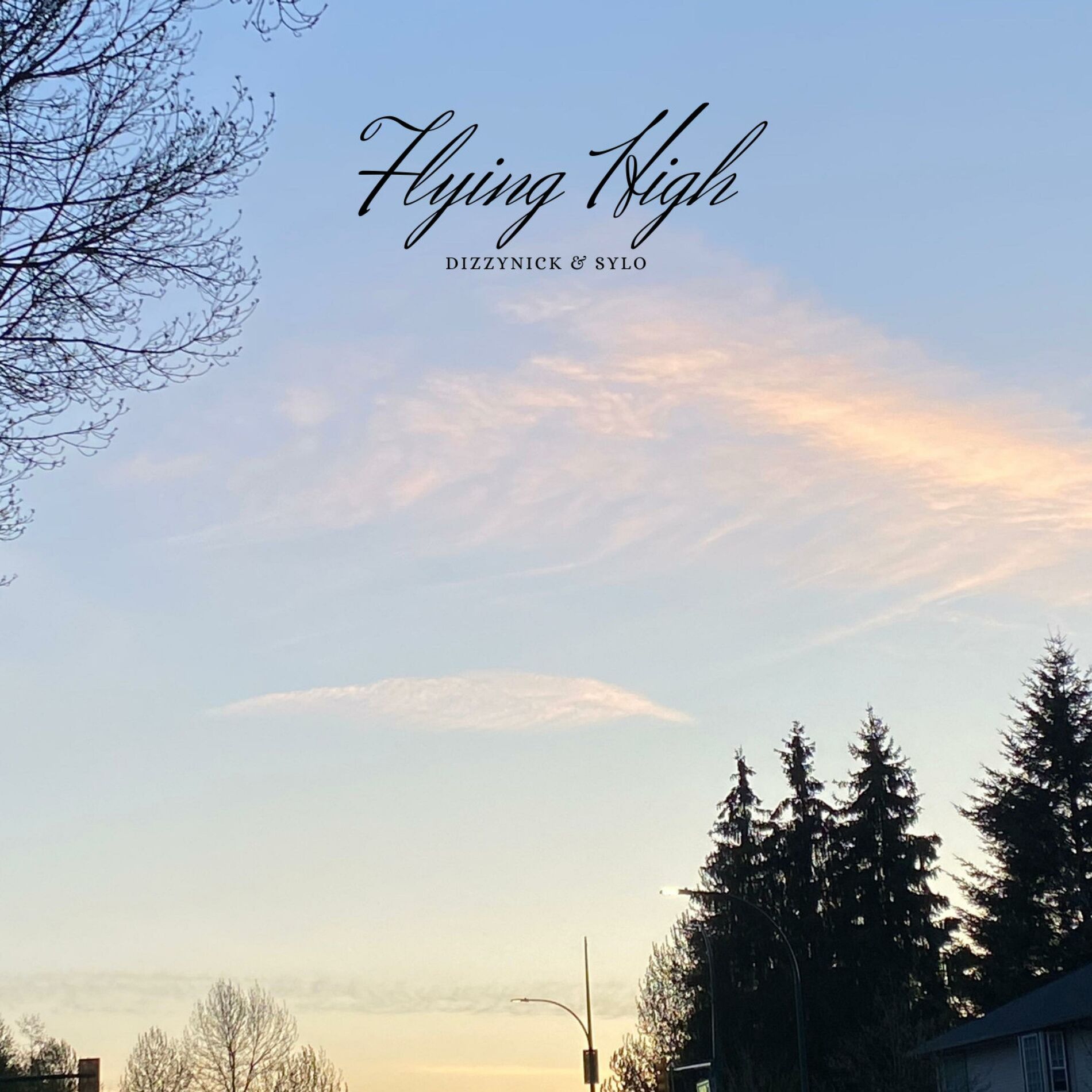 Album cover of Flying High (feat. Sylo)