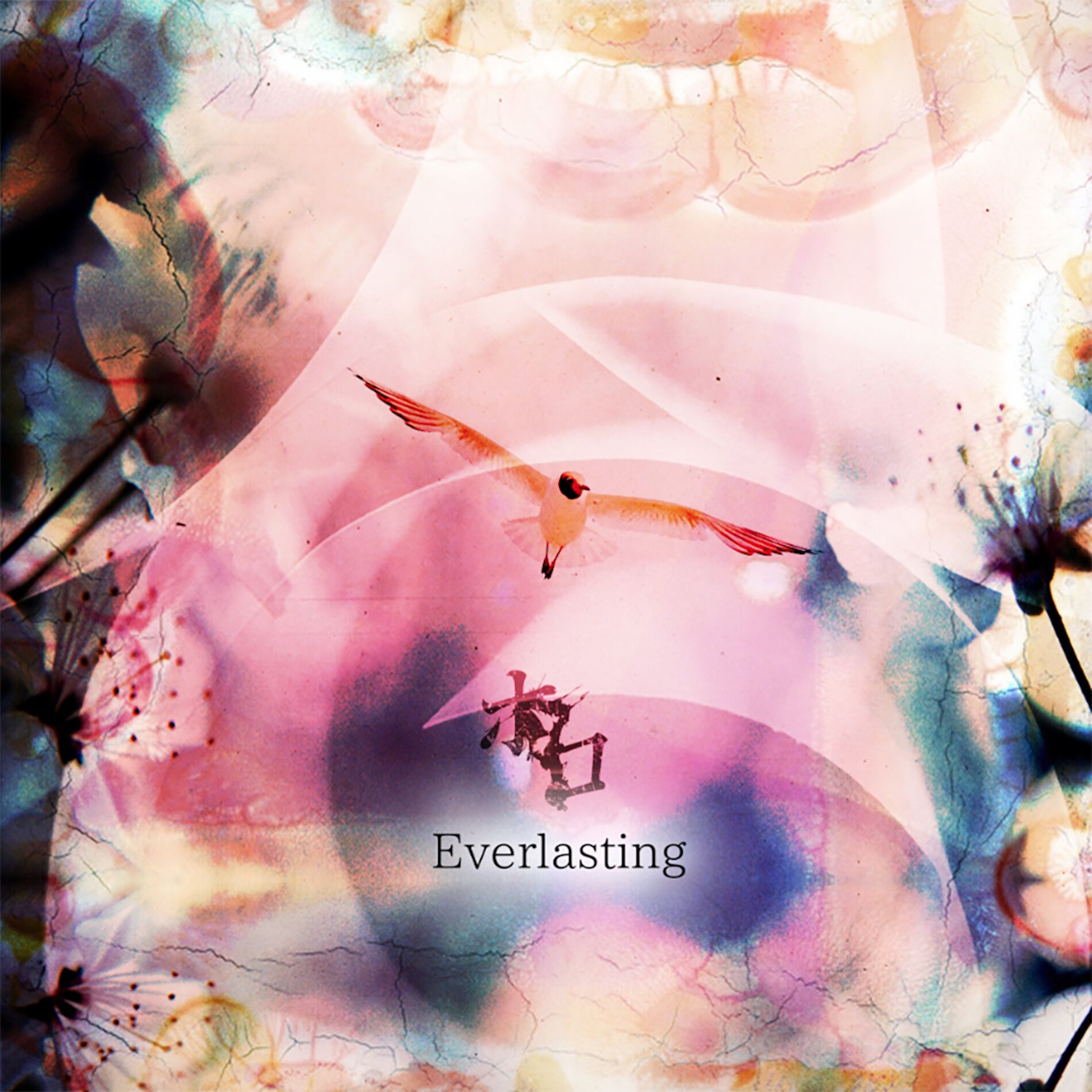 Album cover of Everlasting