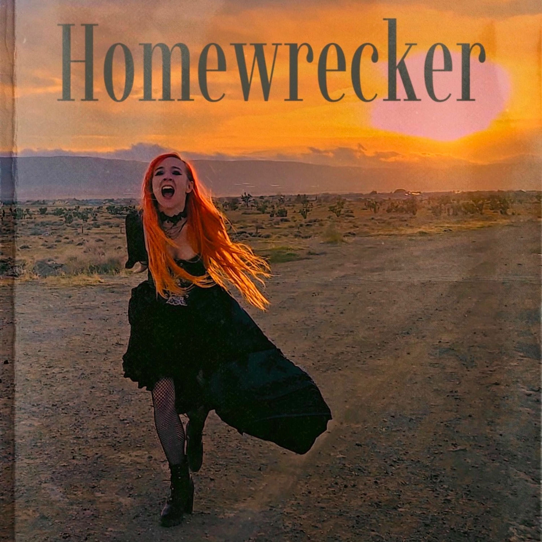 Album cover of Homewrecker
