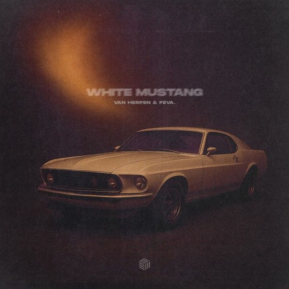White Mustang