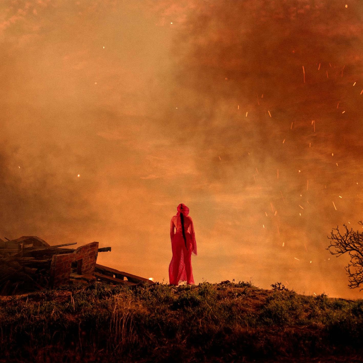 Album cover of I Burned LA Down