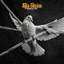 music cover
