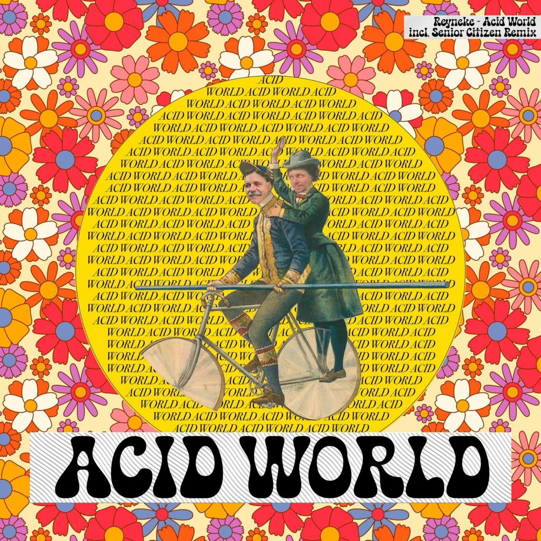 Album cover of Acid World