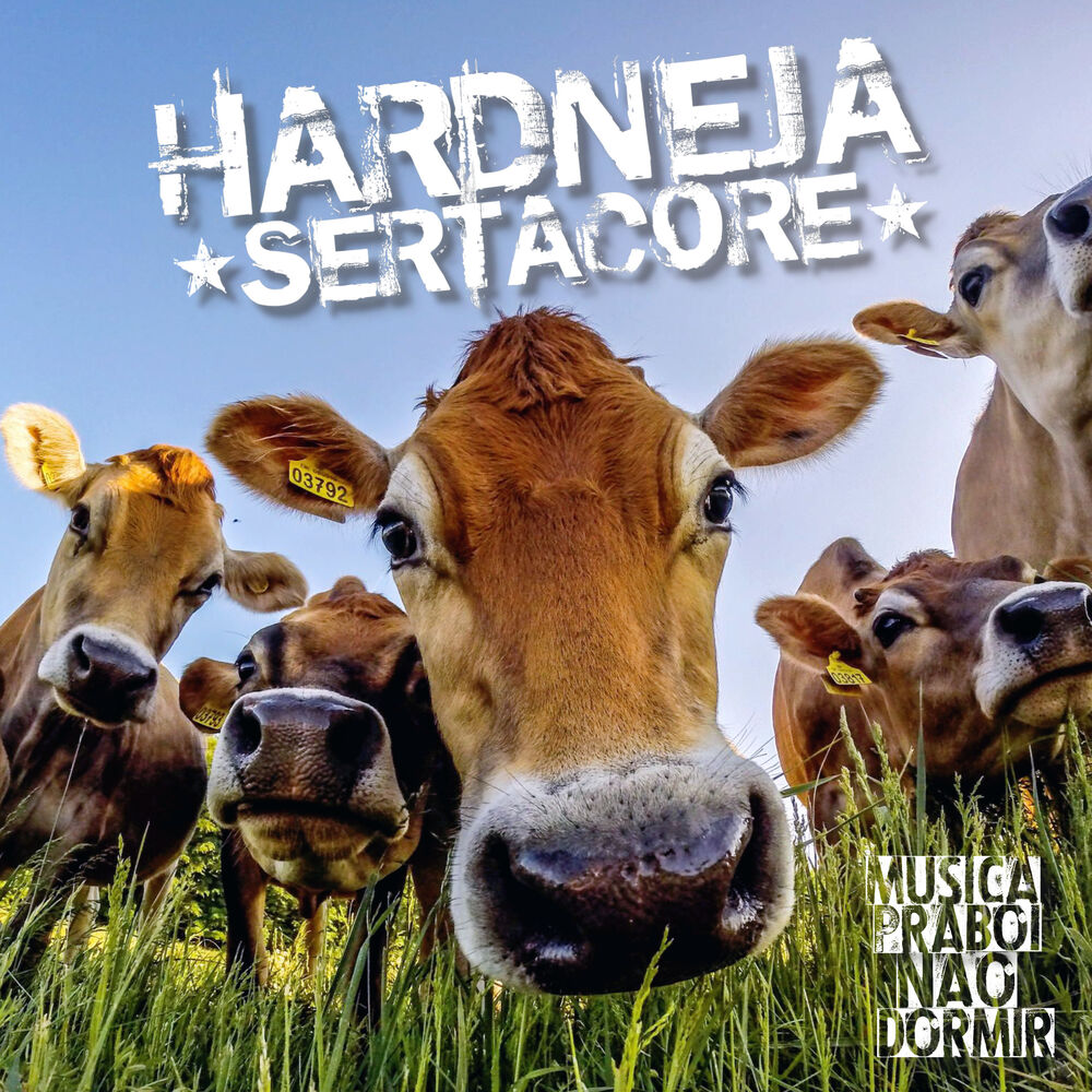Picture of Música Pra Boi Não Dormir