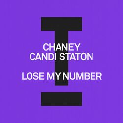Cover of Lose My Number