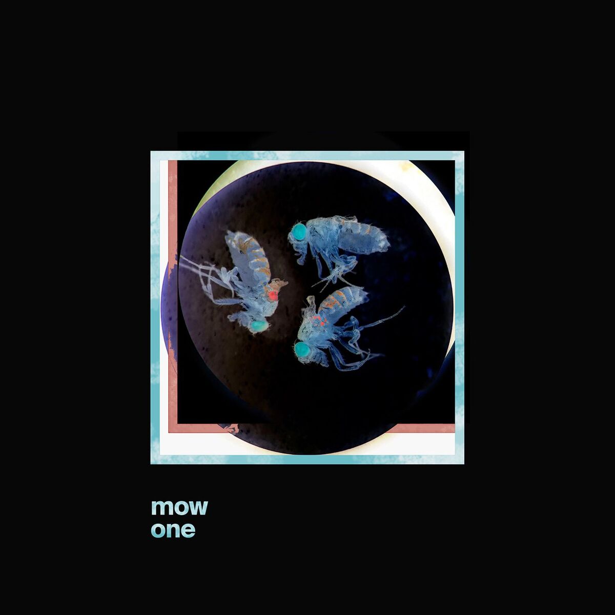 Album cover of One
