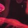 Cyber State by DICA album cover
