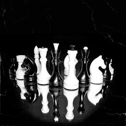 Cover of Dont Play