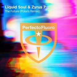 Cover of The Future (Polaris FR Remix)
