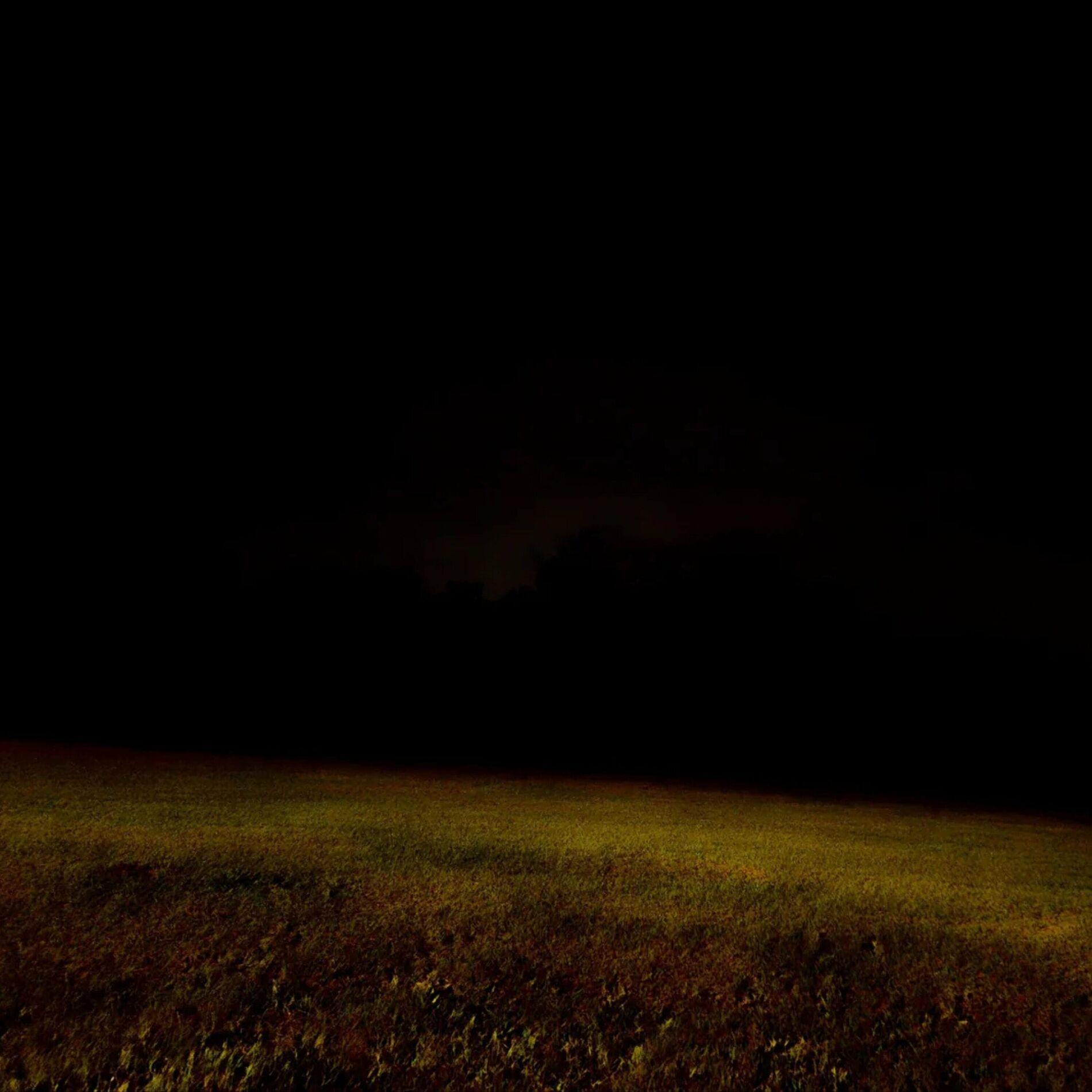 Album cover of Then Everything Went Mute and Dark