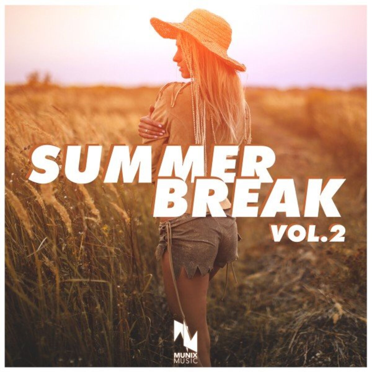 Album cover of Summer Break, Vol. 2