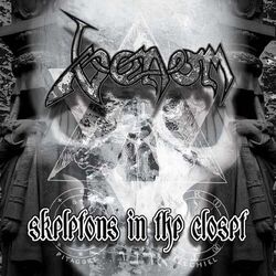 Cover of Skeletons In the Closet