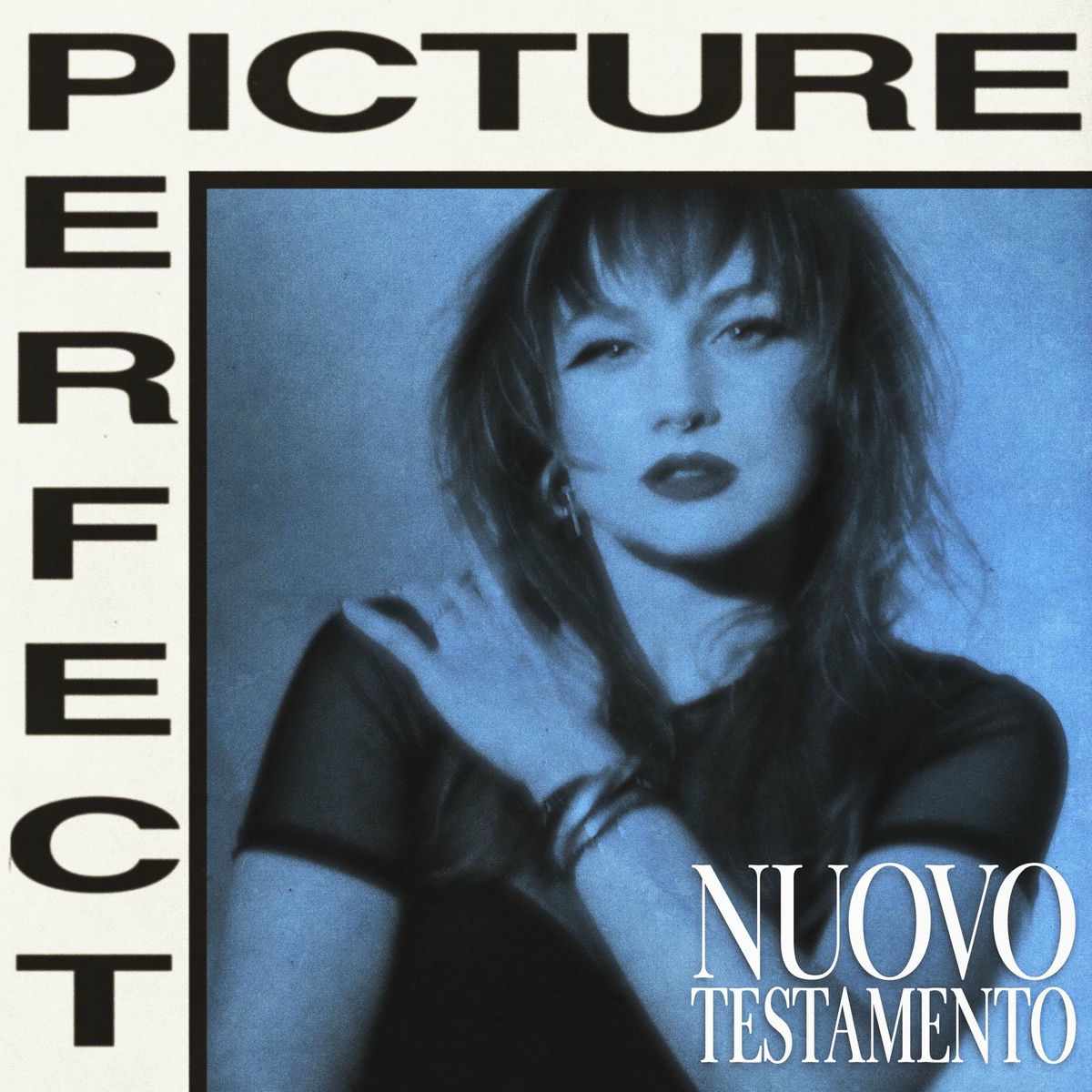 Album cover of Picture Perfect