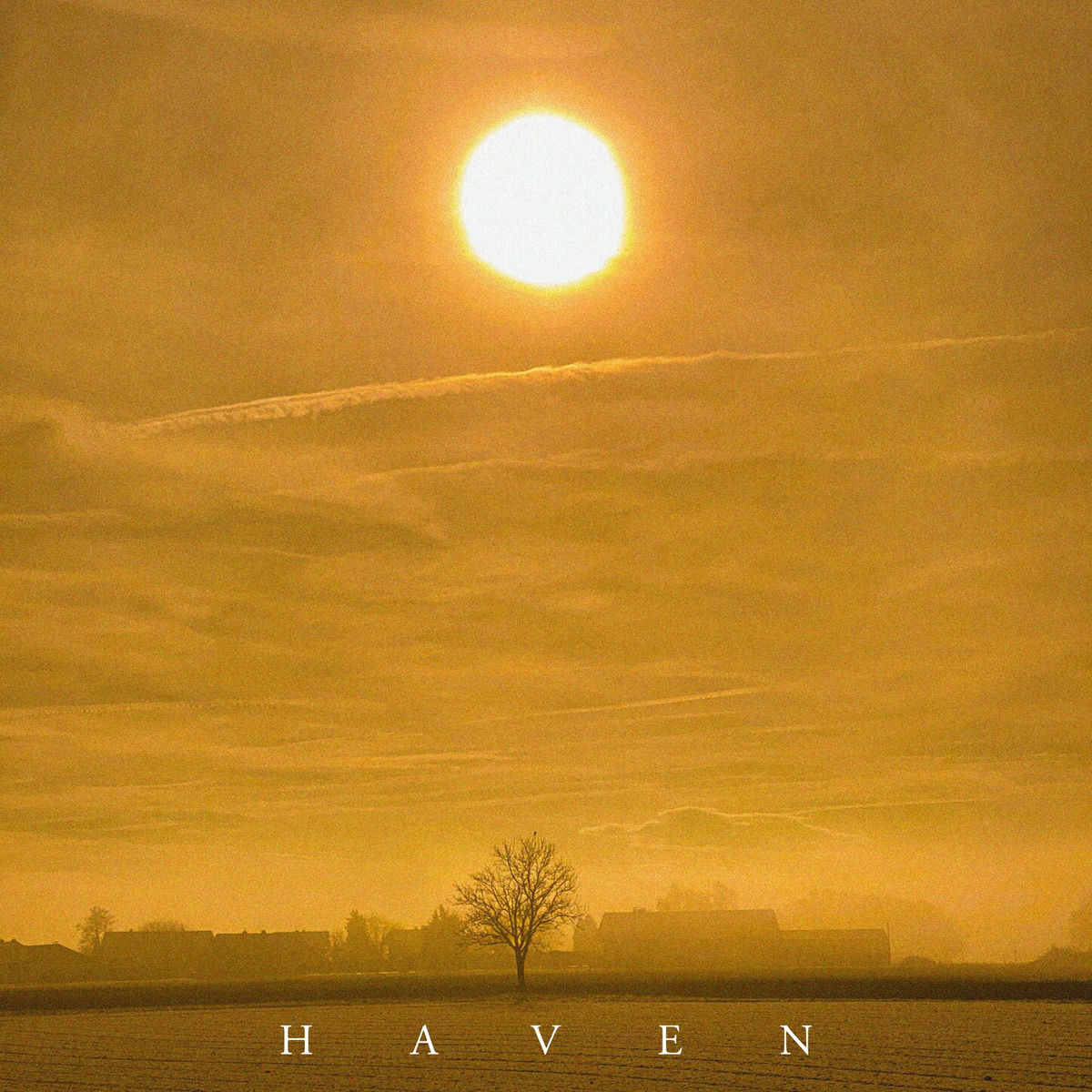 Album cover of Haven