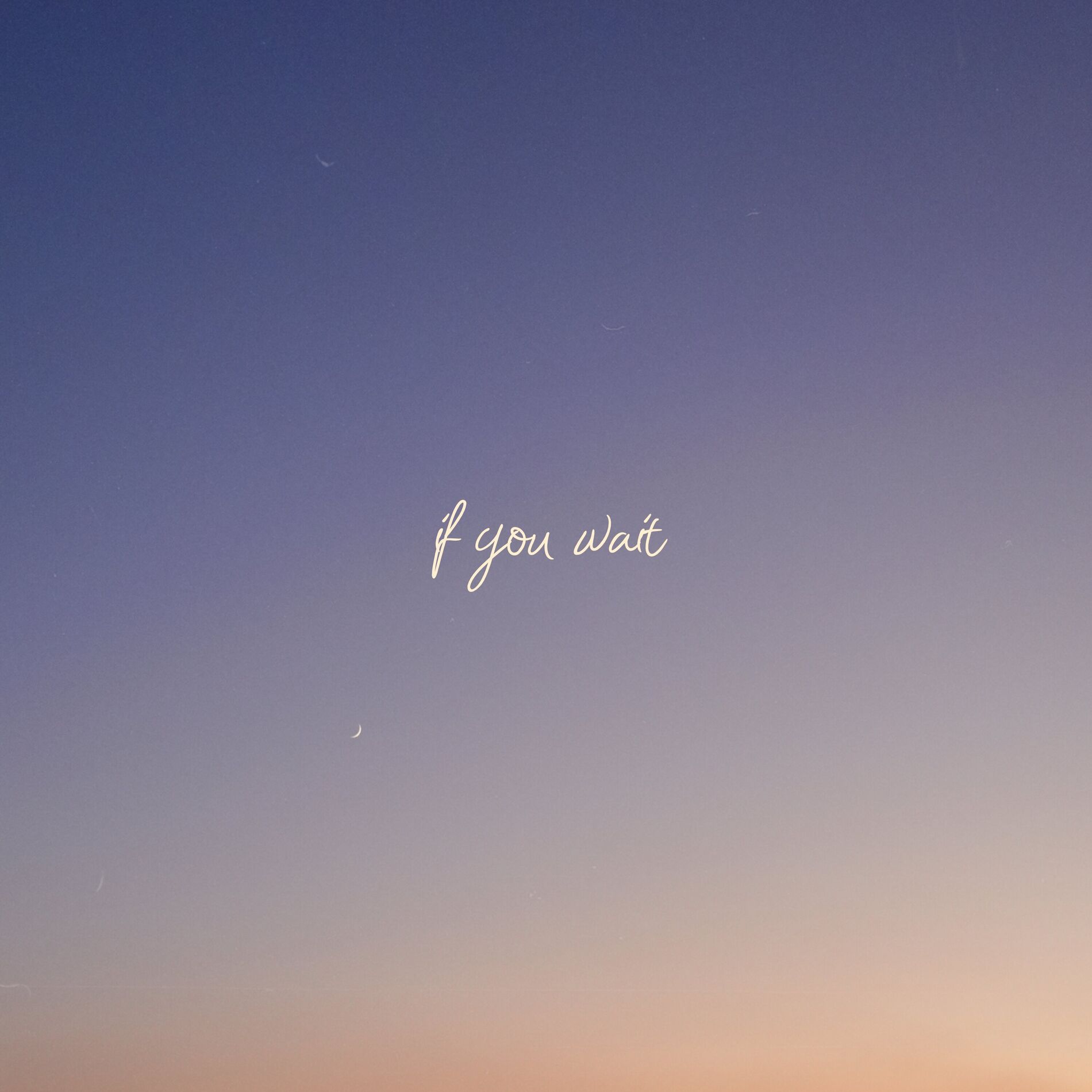Album cover of If You Wait