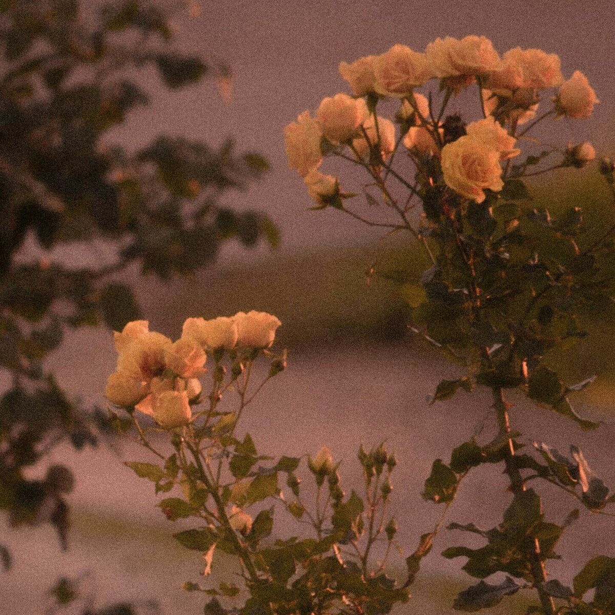 Album cover of wasting my luck