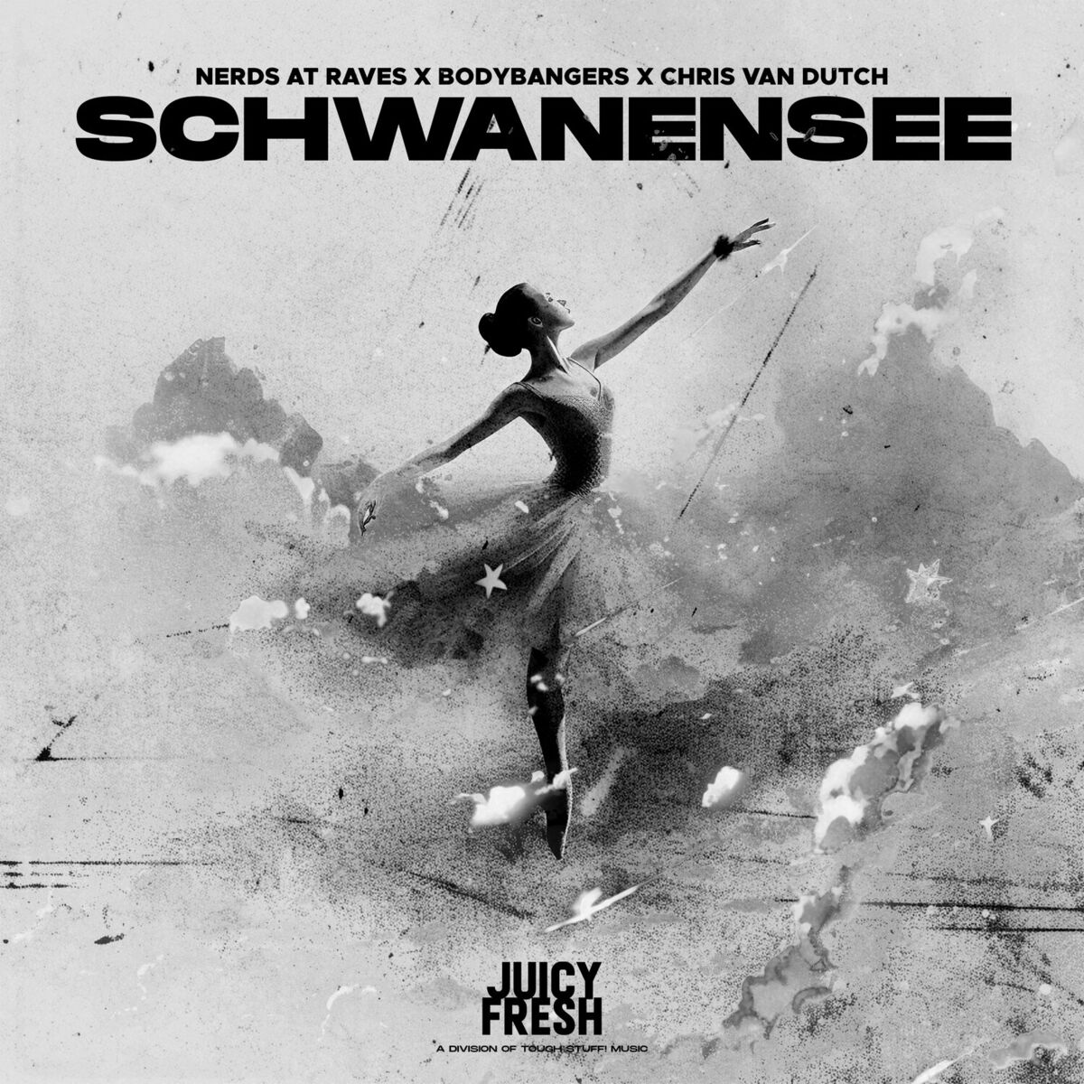 Album cover of Schwanensee