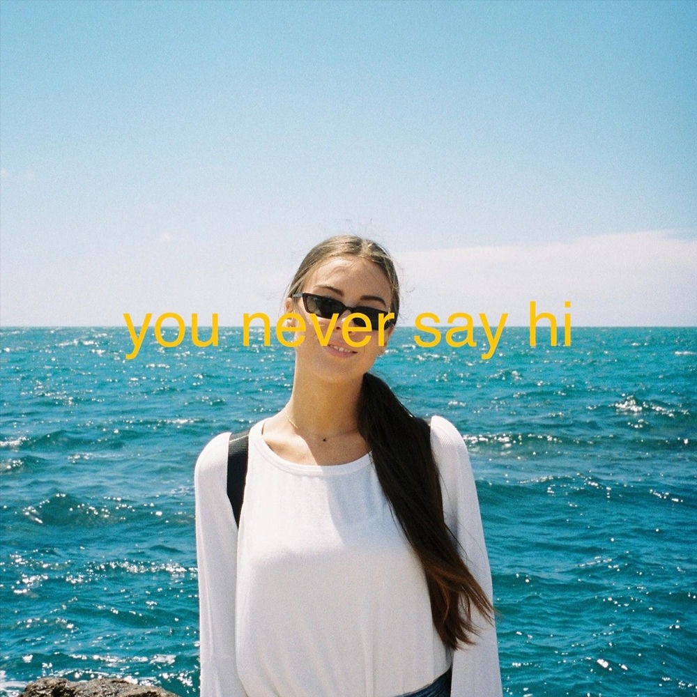 Album artwork for You Never Say Hi by DAD BOD