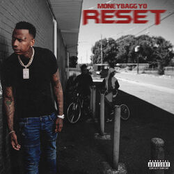 Cover of RESET