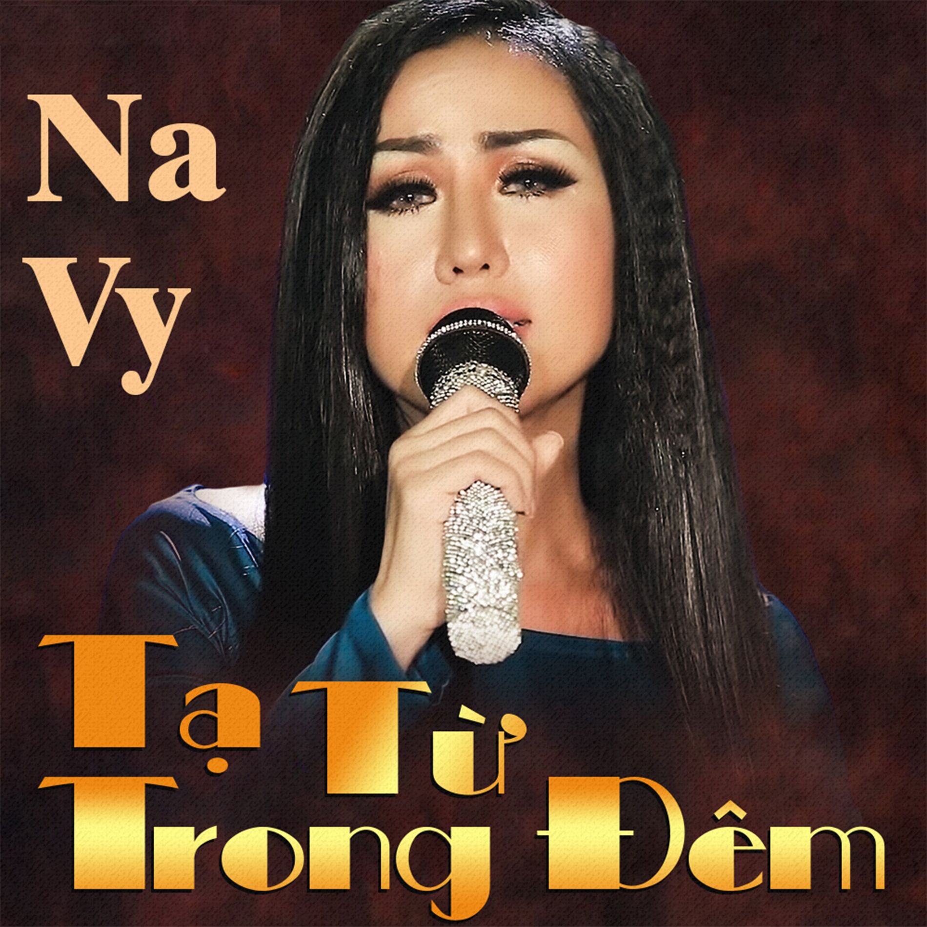 Album cover of Tạ Từ Trong Đêm