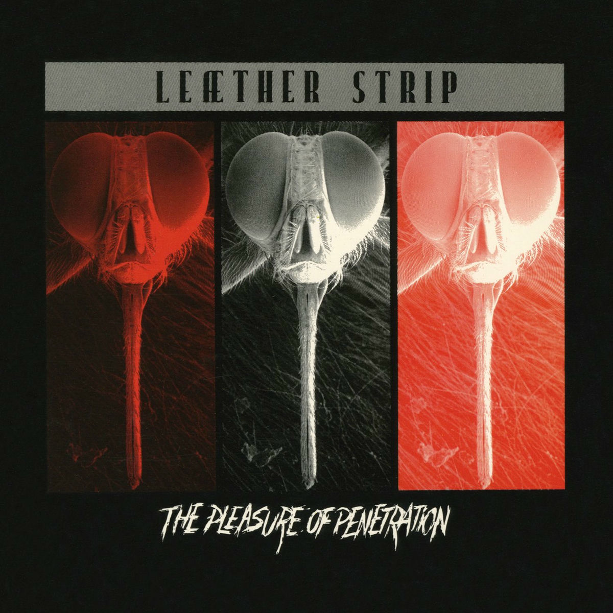 Album cover of The Pleasure of Penetration