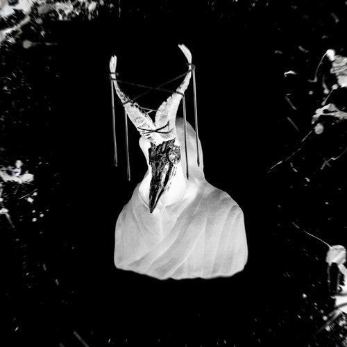 SHAMAN