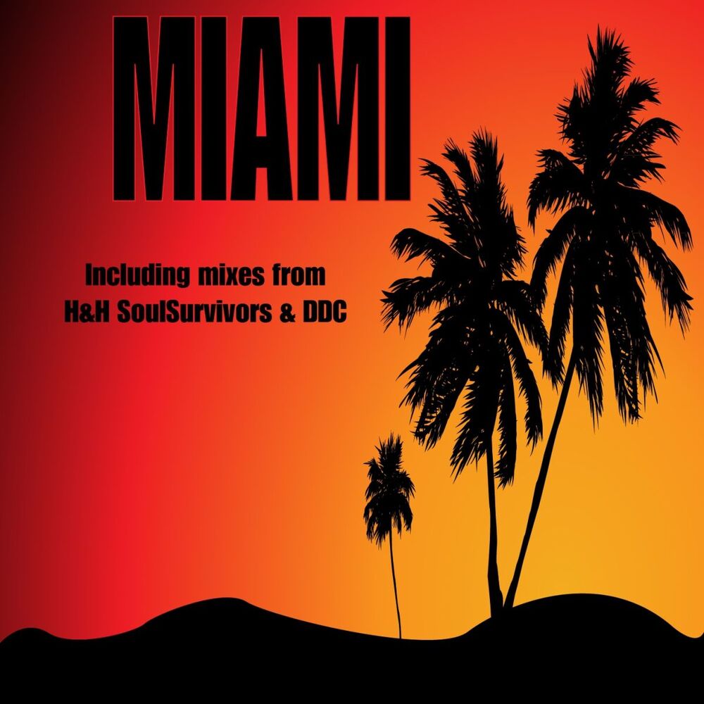 Picture of Miami House