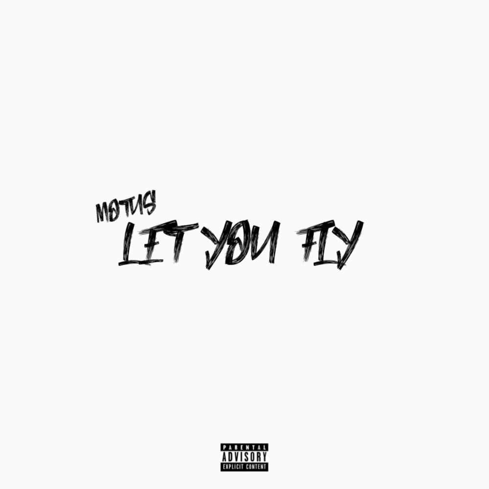 Picture of Let You Fly