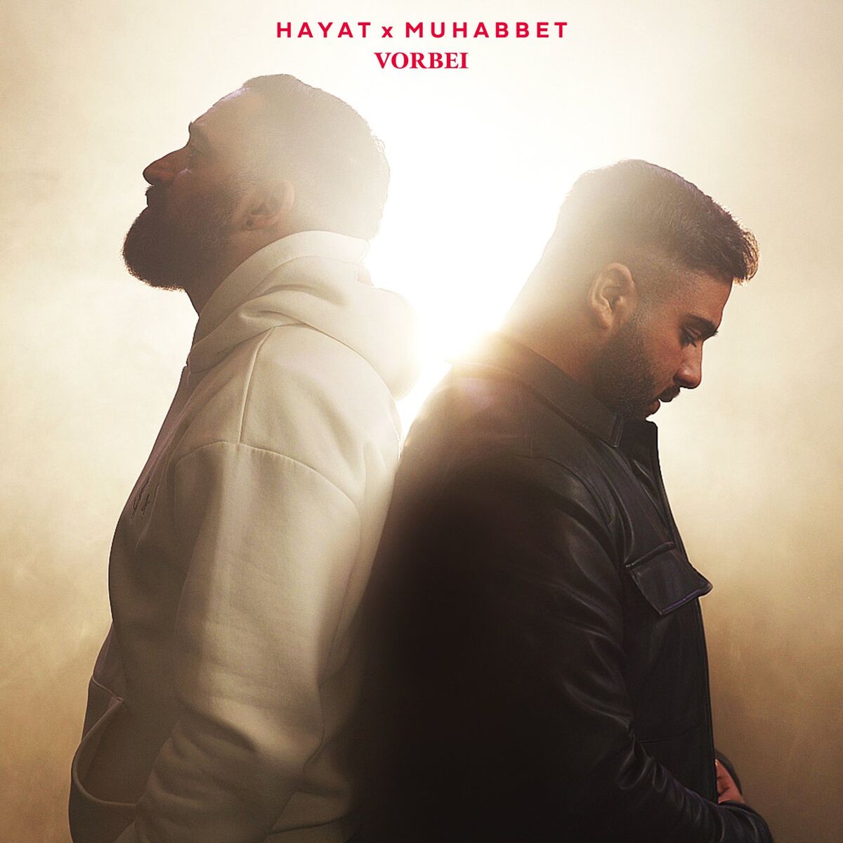 Album cover of Vorbei
