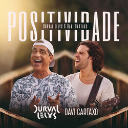 Cover of Positividade
