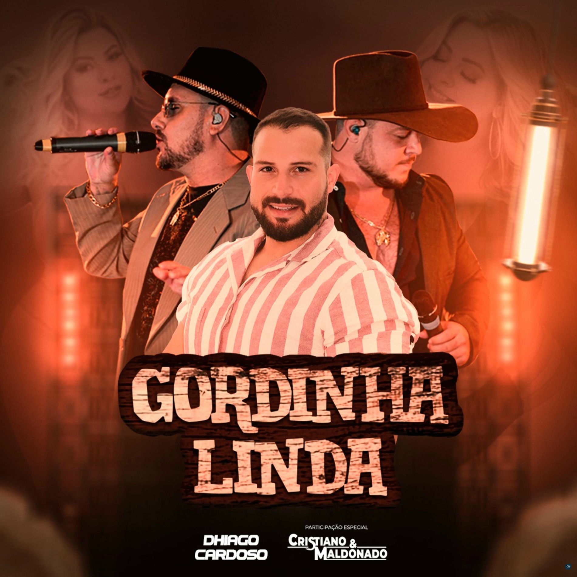 Album cover of Gordinha Linda