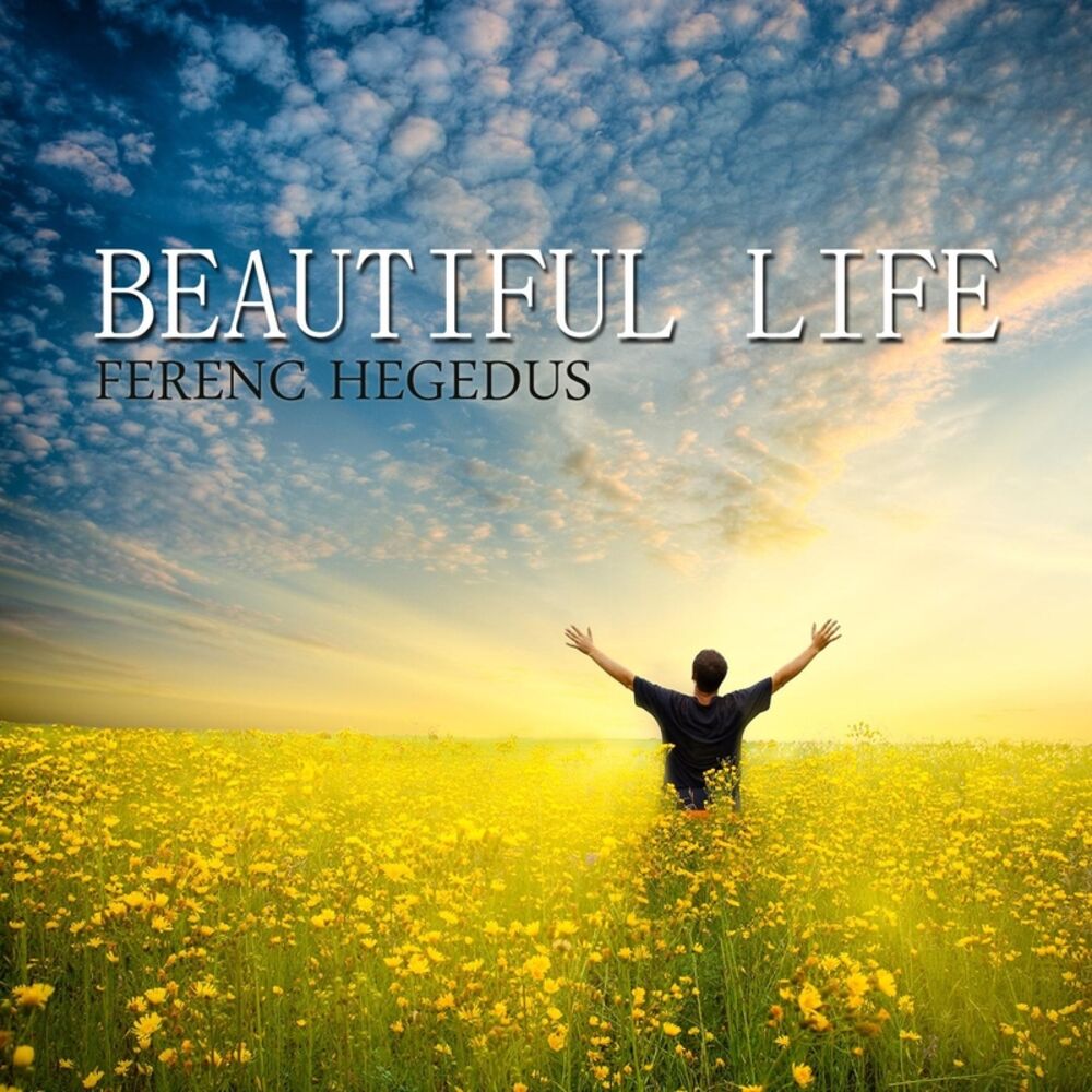 Picture of Beautiful Life