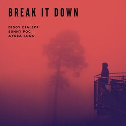 Cover of Break It Down (feat. Sunny POC & Ayuba SOQS)