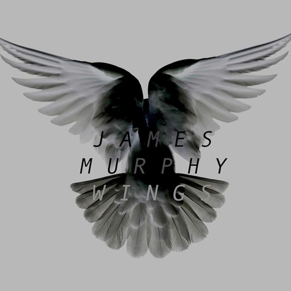 Picture of Wings
