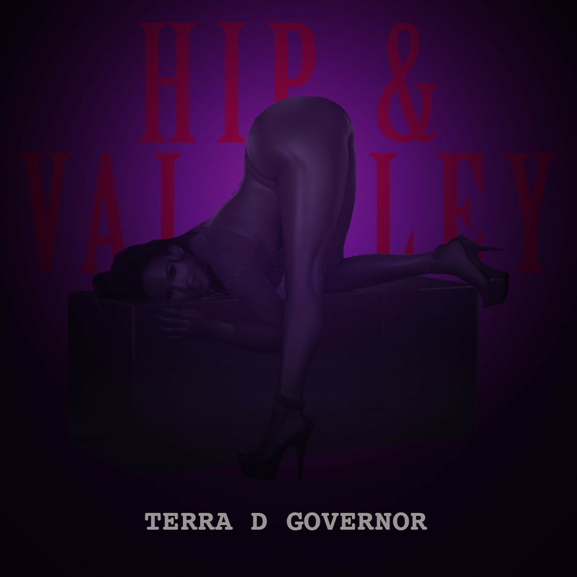 Album cover of Hip & Valley