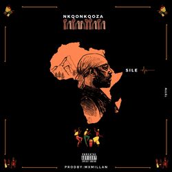 Cover of Nkqonkqoza
