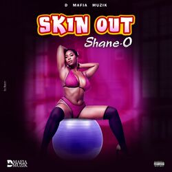 Cover of Skin Out