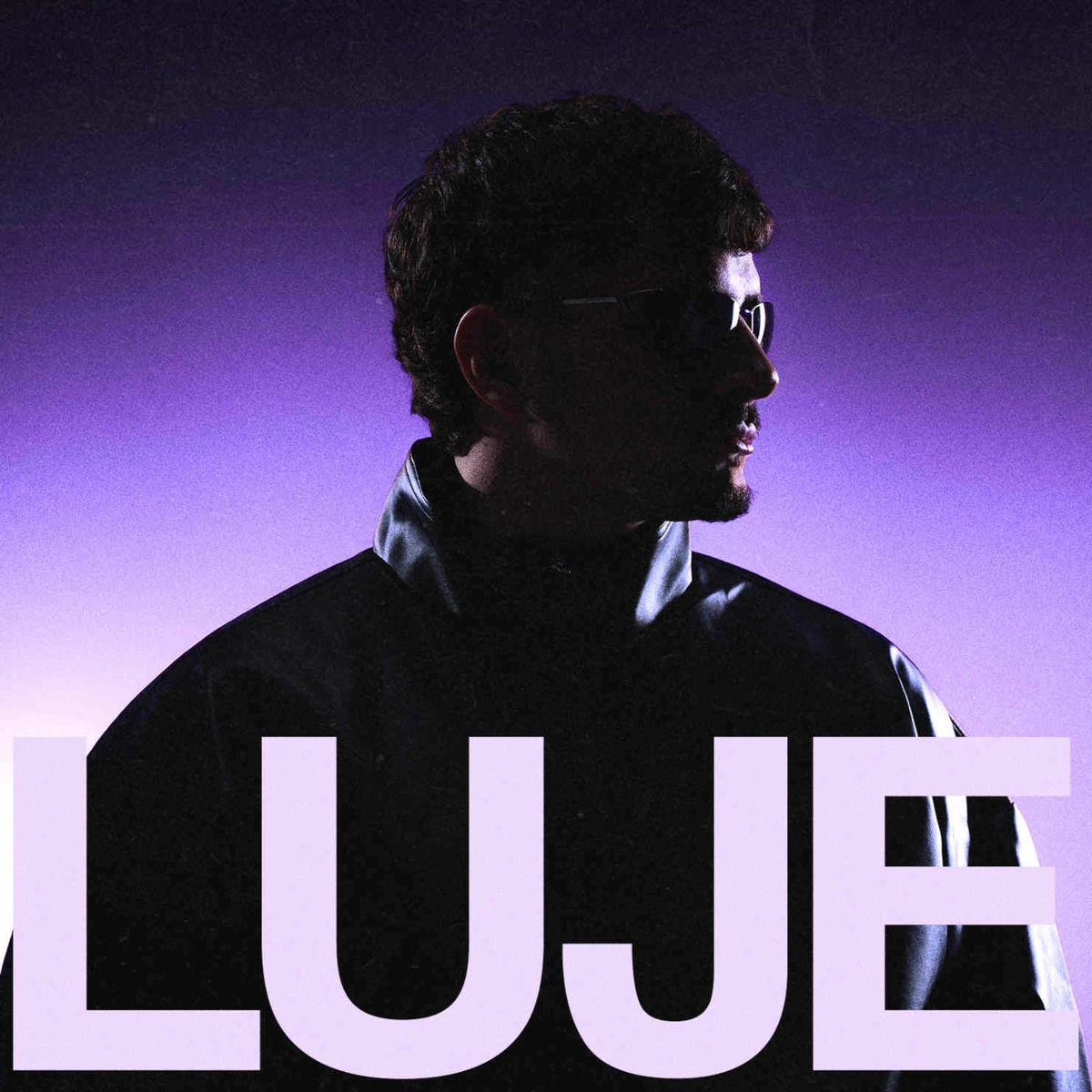 Album cover of Luje