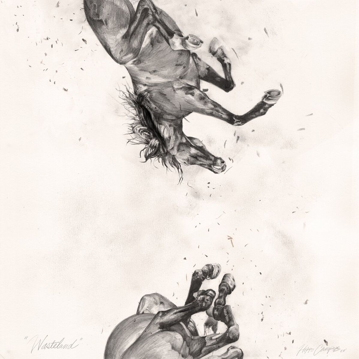 Album cover of Wasteland