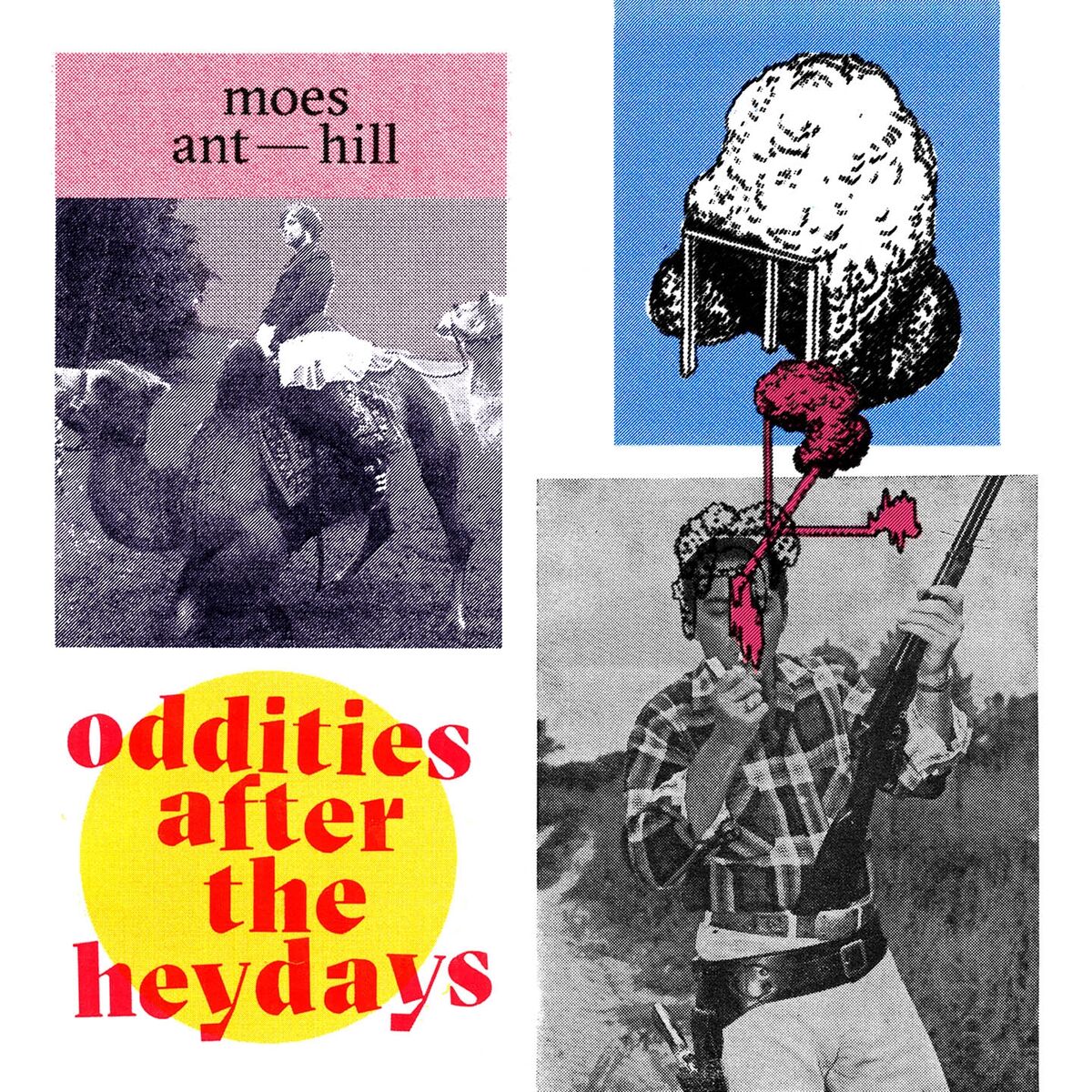 Album cover of Oddities After the Heydays