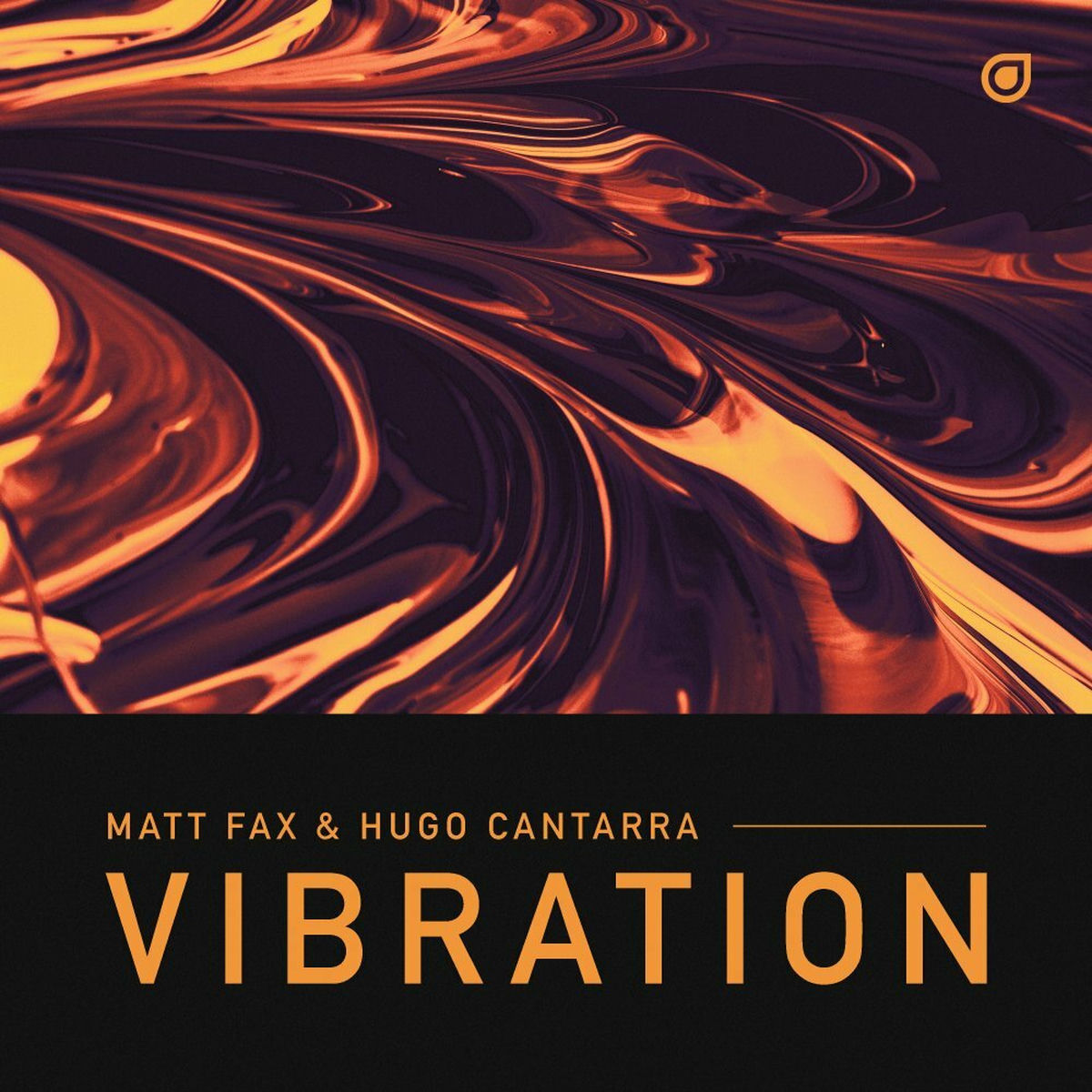 Album cover of Vibration