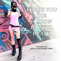 Cover of Porcelain Jesus