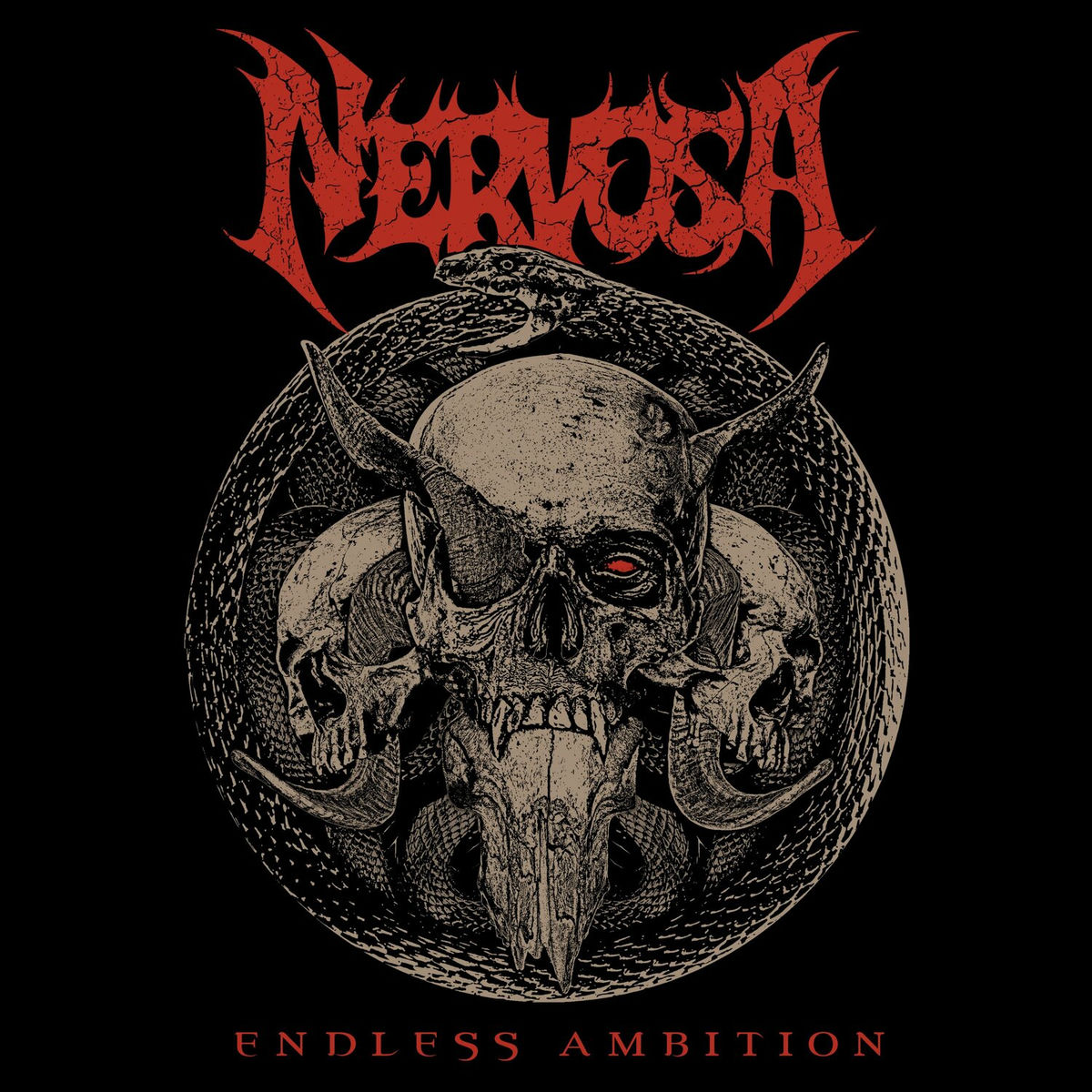 Album cover of Endless Ambition