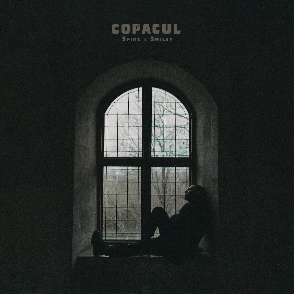 Album cover of Copacul