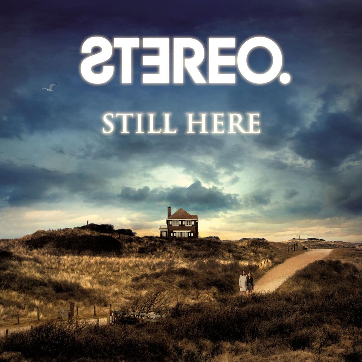Album cover of Still Here